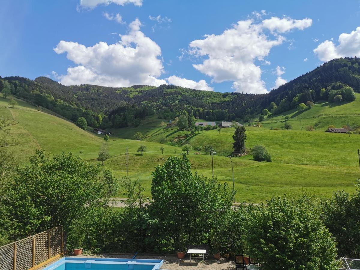 Ferienwohnung Vogelsang Im Schwarzwald Münstertal Exterior foto