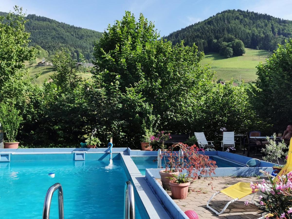 Ferienwohnung Vogelsang Im Schwarzwald Münstertal Exterior foto