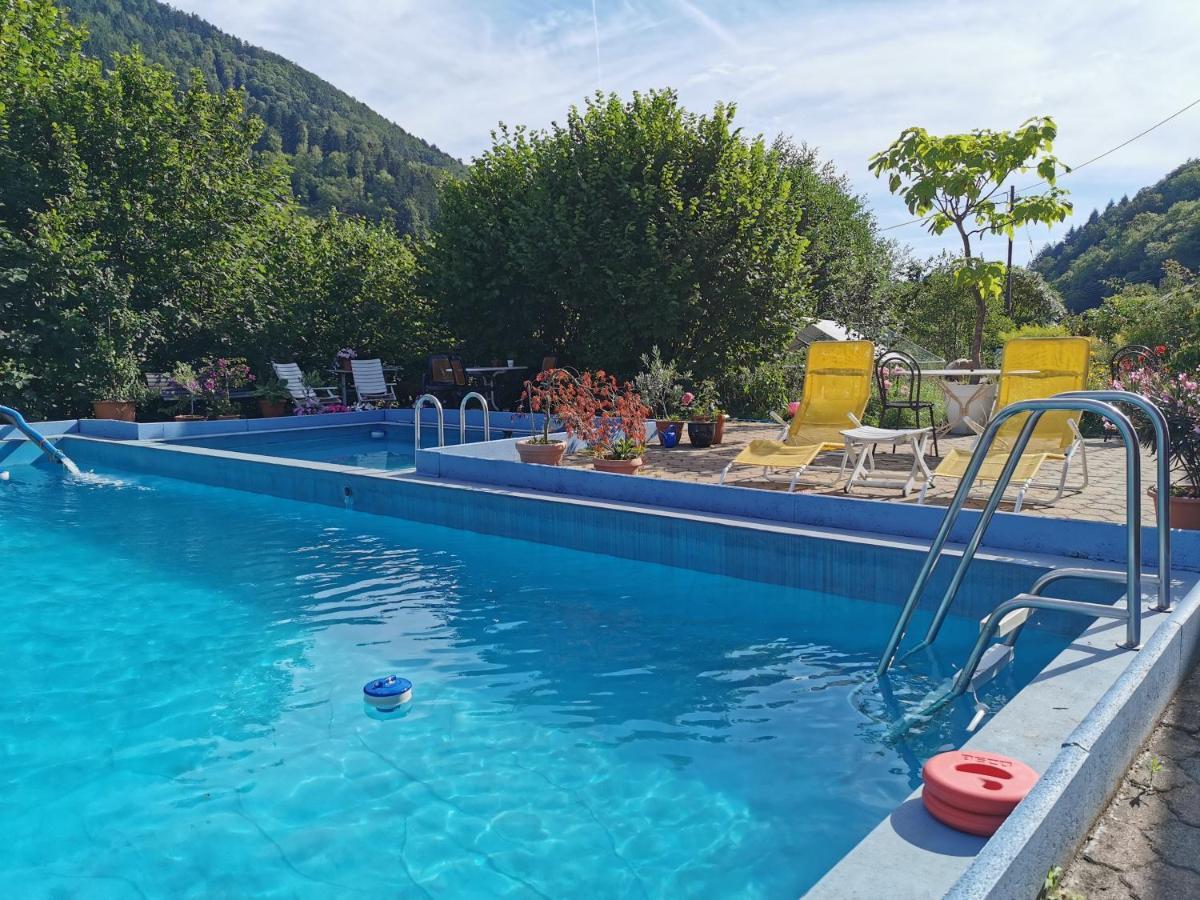 Ferienwohnung Vogelsang Im Schwarzwald Münstertal Exterior foto