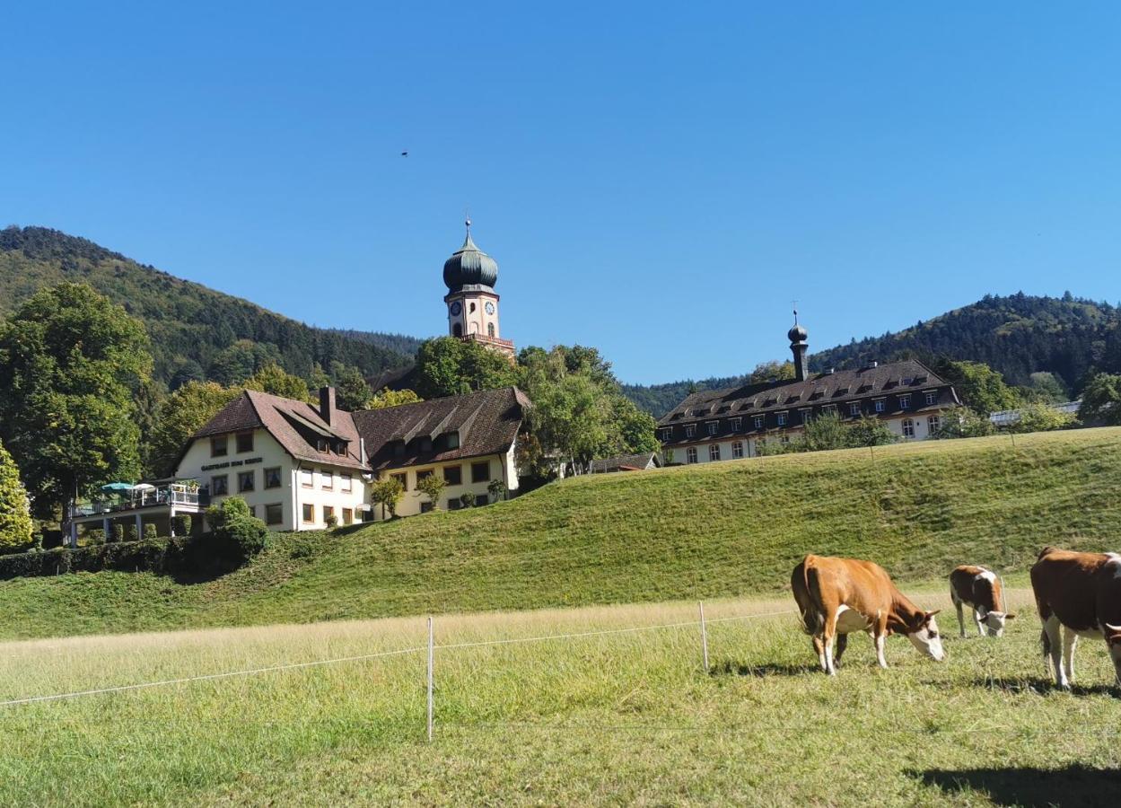Ferienwohnung Vogelsang Im Schwarzwald Münstertal Exterior foto