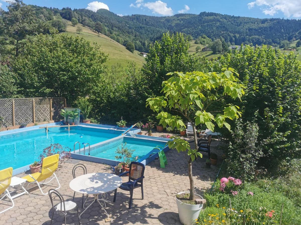 Ferienwohnung Vogelsang Im Schwarzwald Münstertal Exterior foto