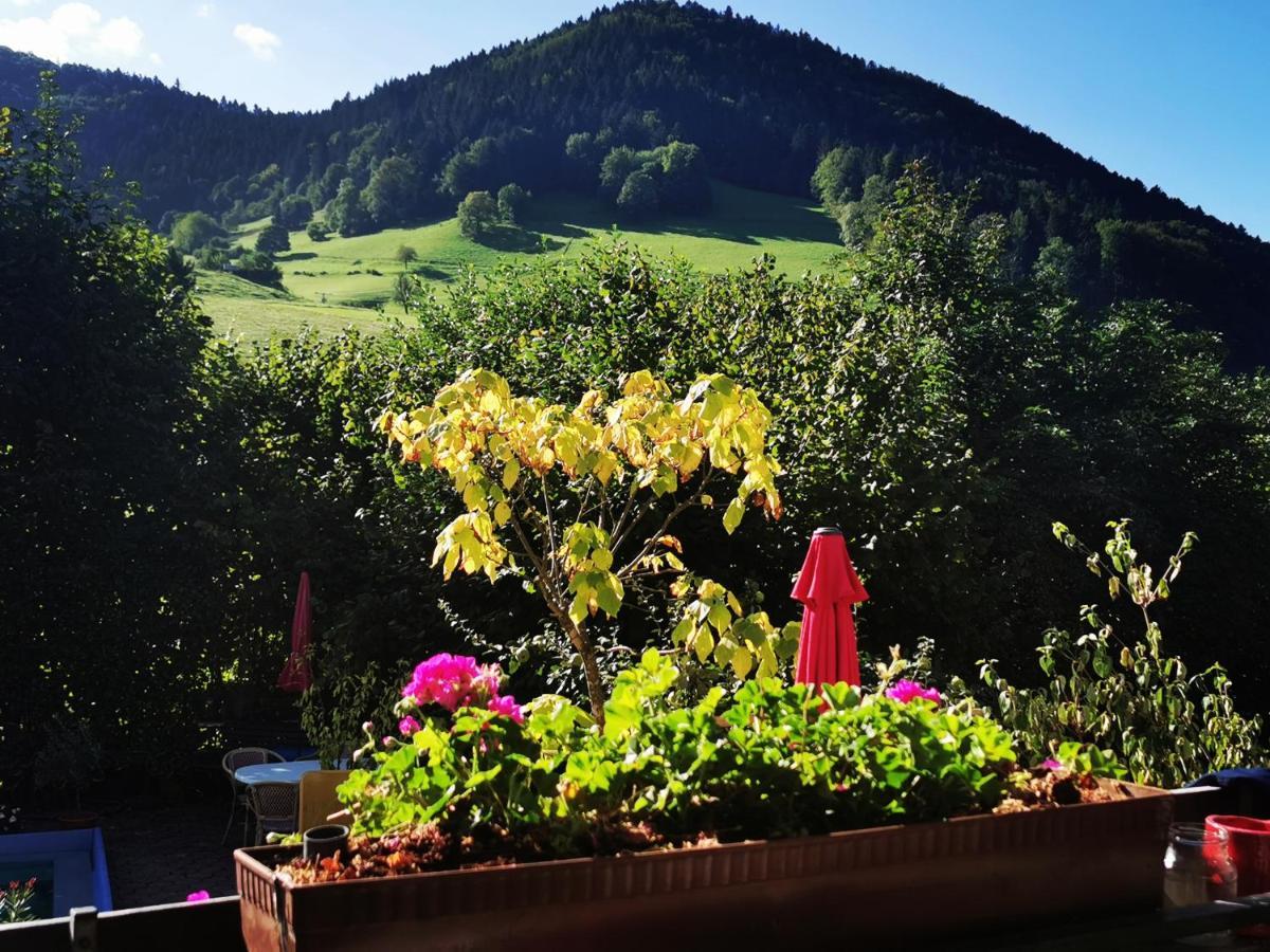 Ferienwohnung Vogelsang Im Schwarzwald Münstertal Exterior foto