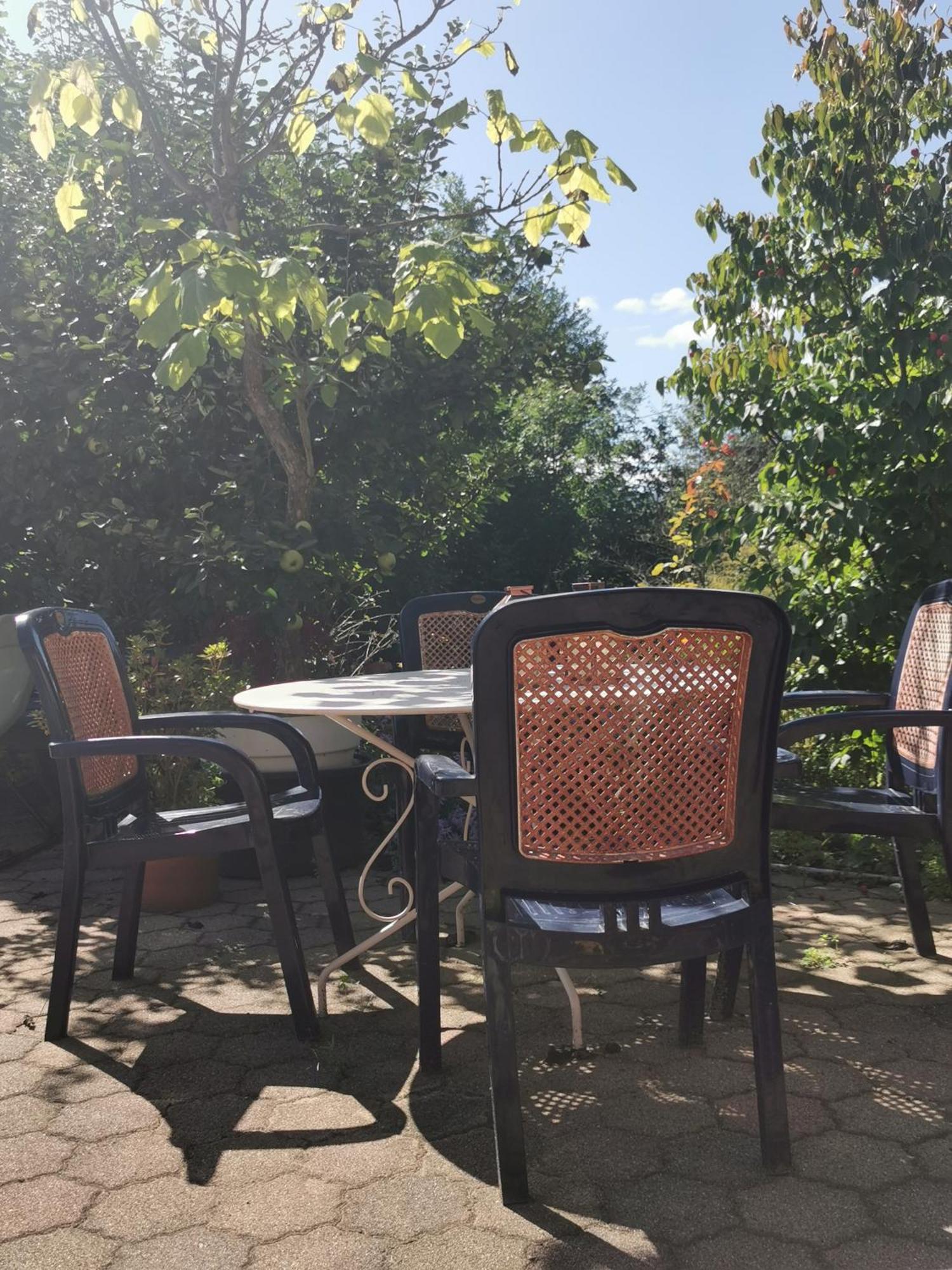 Ferienwohnung Vogelsang Im Schwarzwald Münstertal Exterior foto