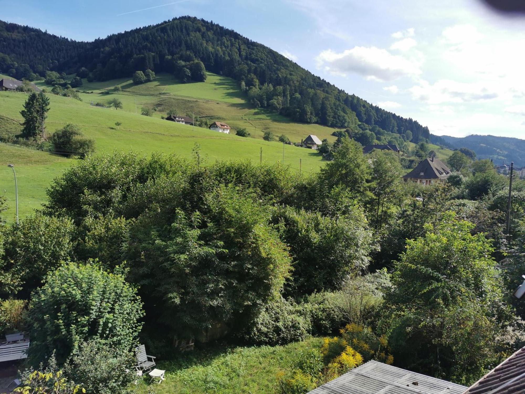 Ferienwohnung Vogelsang Im Schwarzwald Münstertal Exterior foto